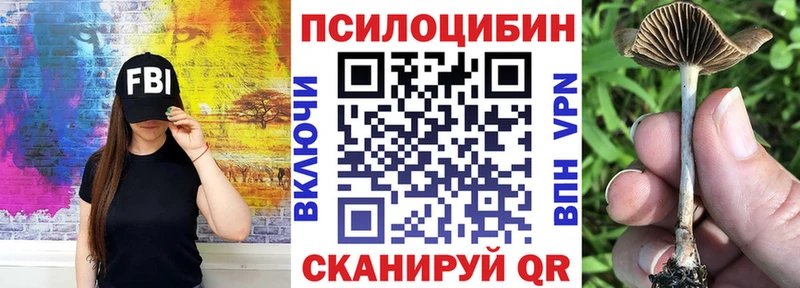 Галлюциногенные грибы мухоморы  наркотики  Ивдель 
